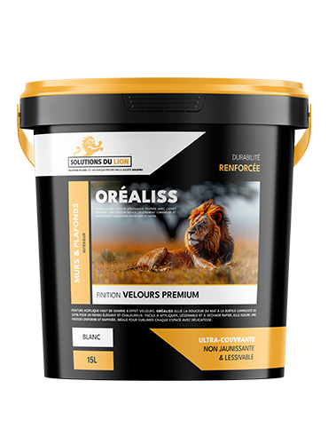 Produit VERNIS'PRO